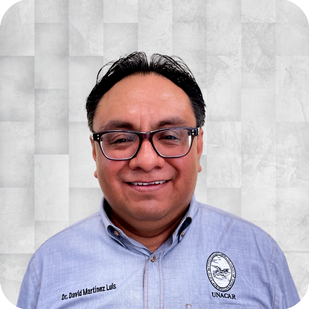 Dr. David Martínez Luis